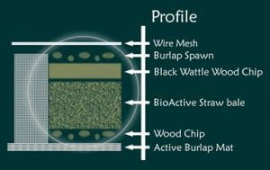 biofilter mycofiltration